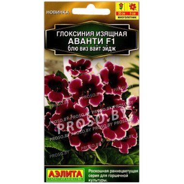 Глоксиния изящная Аванти блю виз вайт эйдж F1