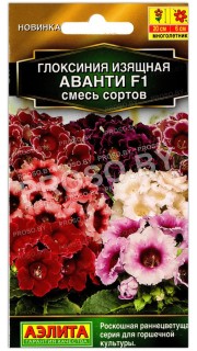 Глоксиния изящная Аванти F1, смесь