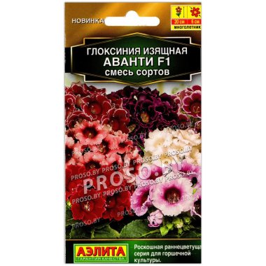Глоксиния изящная Аванти F1, смесь