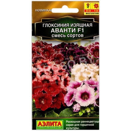 Глоксиния изящная Аванти F1, смесь