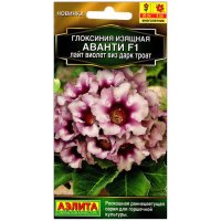 Глоксиния изящная Аванти лайт виолет виз дарк троат F1