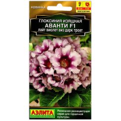 Глоксиния изящная Аванти лайт виолет виз дарк троат F1