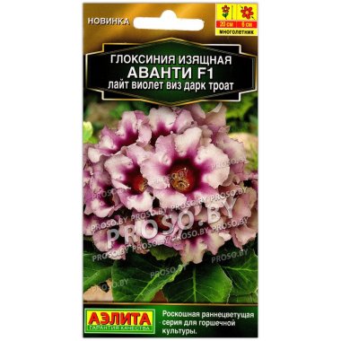 Глоксиния изящная Аванти лайт виолет виз дарк троат F1