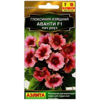 Глоксиния изящная Аванти пич роуз F1