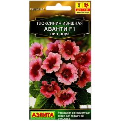 Глоксиния изящная Аванти пич роуз F1