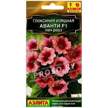 Глоксиния изящная Аванти пич роуз F1