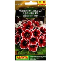Глоксиния изящная Аванти ред виз вайт эйдж F1 Глоксиния изящная Аванти ред виз вайт эйдж F1