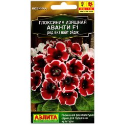 Глоксиния изящная Аванти ред виз вайт эйдж F1