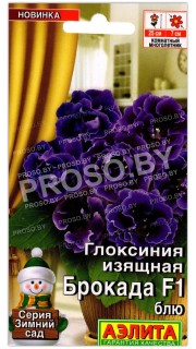 Глоксиния изящная Брокада блю F1