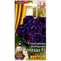 Глоксиния изящная Брокада блю F1