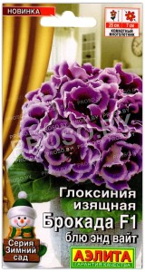 Глоксиния изящная Брокада блю энд вайт F1