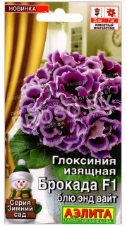 Глоксиния изящная Брокада блю энд вайт F1
