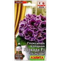 Глоксиния изящная Брокада блю энд вайт F1