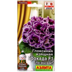 Глоксиния изящная Брокада блю энд вайт F1