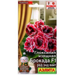 Глоксиния изящная Брокада ред энд вайт F1