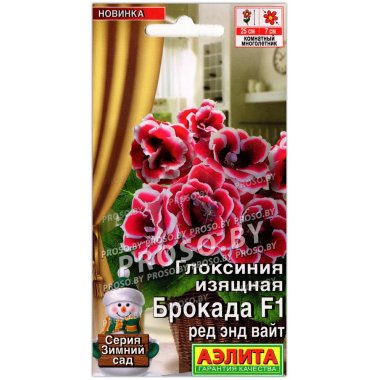 Глоксиния изящная Брокада ред энд вайт F1