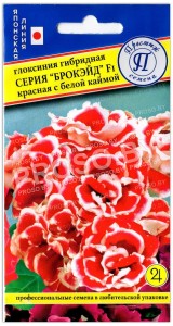 Глоксиния Красная с белой каймой F1, серия Брокэйд