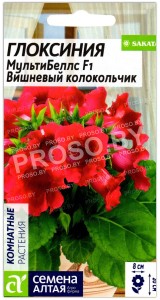 Глоксиния МультиБеллс Вишневый колокольчик F1