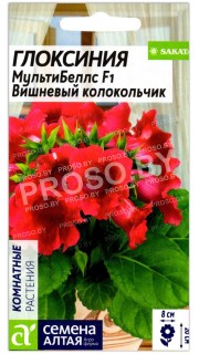 Глоксиния МультиБеллс Вишневый колокольчик F1