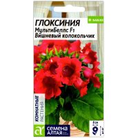 Глоксиния МультиБеллс Вишневый колокольчик F1