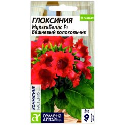 Глоксиния МультиБеллс Вишневый колокольчик F1