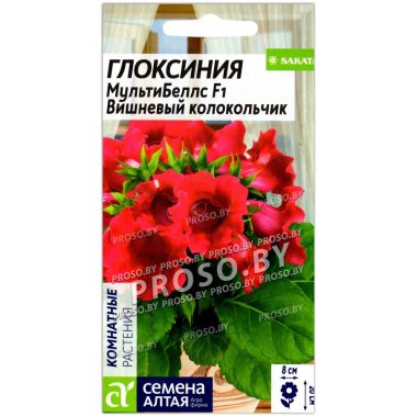 Глоксиния МультиБеллс Вишневый колокольчик F1