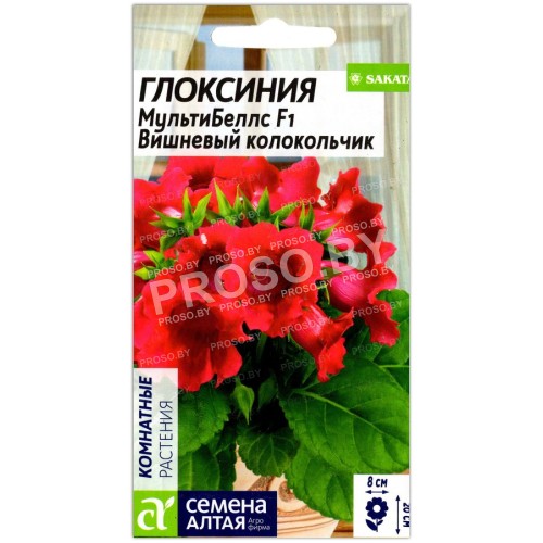 Глоксиния МультиБеллс Вишневый колокольчик F1