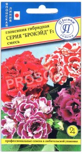 Глоксиния Смесь F1, серия Брокэйд
