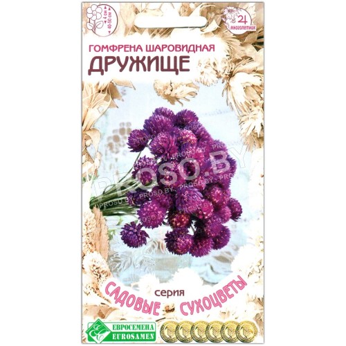 Гомфрена шаровидная Дружище