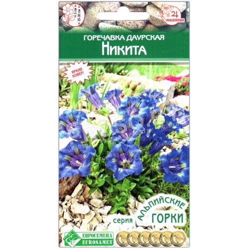 Горечавка Никита