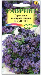 Горечавка семираздельная Кристи
