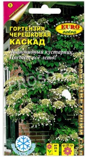Гортензия черешковая Каскад