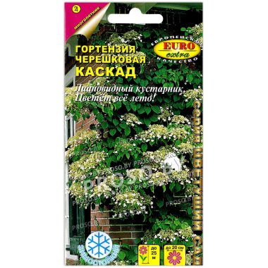 Гортензия черешковая Каскад