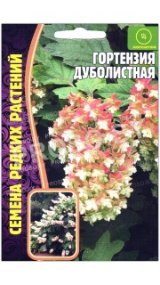 Гортензия Дуболистная
