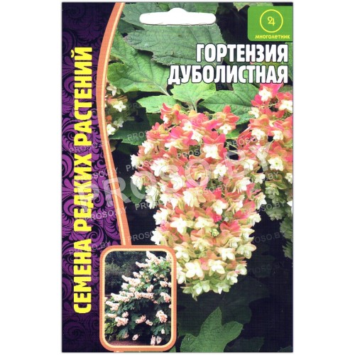Гортензия Дуболистная