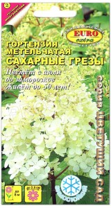 Гортензия метельчатая Сахарные грезы