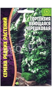 Гортензия Вьющаяся черешковая