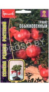 Гранат Обыкновенный