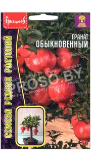 Гранат Обыкновенный