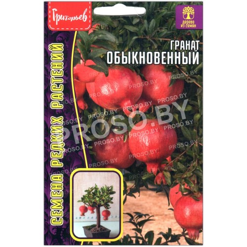 Гранат Обыкновенный