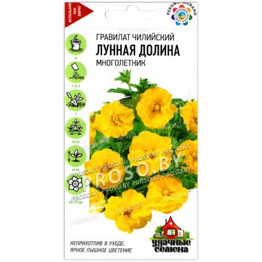 Гравилат чилийский Лунная долина