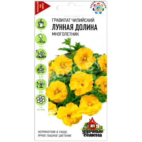Гравилат чилийский Лунная долина