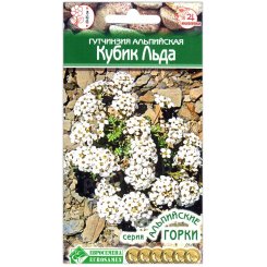 Гутчинзия альпийская Кубик льда