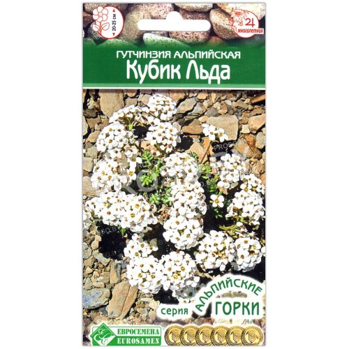 Гутчинзия альпийская Кубик льда