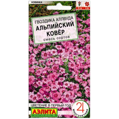 Гвоздика аллвуда Альпийский ковер, смесь