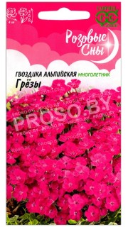 Гвоздика альпийская Грёзы
