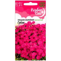 Гвоздика альпийская Грёзы