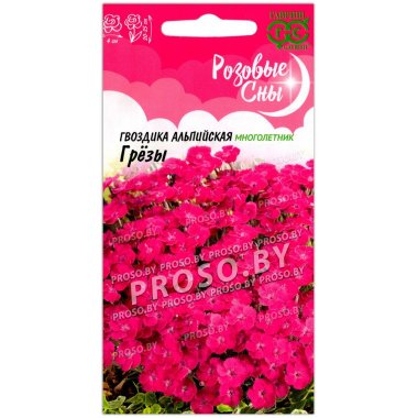 Гвоздика альпийская Грёзы