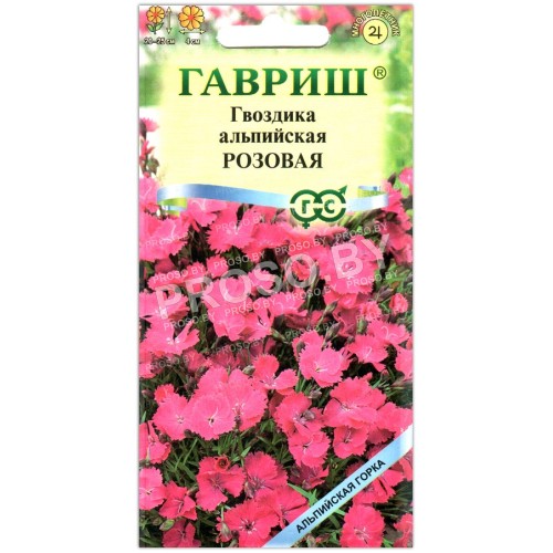 Гвоздика альпийская Розовая
