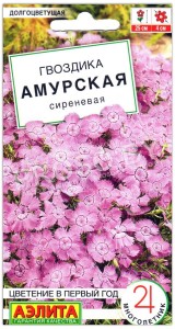 Гвоздика Амурская сиреневая